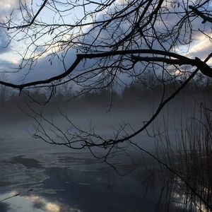 Meet your Posher, Cassie